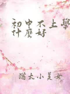 初中不上学了学什么好