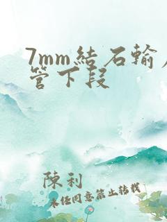 7mm结石输尿管下段
