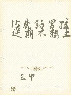 15岁的男孩叛逆期不想上学