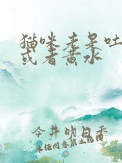 猫咪老是吐猫粮或者黄水