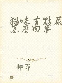 猫咪有点尿血是怎么回事