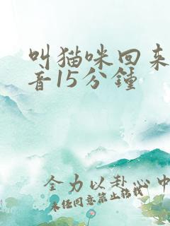 叫猫咪回来的声音15分钟