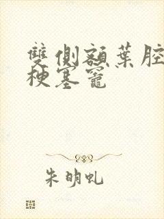 双侧额叶腔隙性梗塞灶