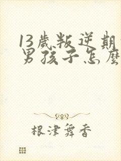 13岁叛逆期的男孩子怎么去引导