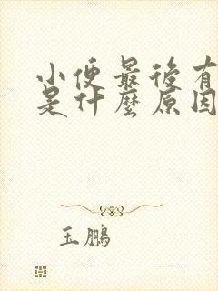 小便最后有血尿是什么原因