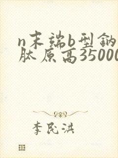 n末端b型钠尿肽原高35000