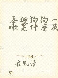 泰迪狗狗一直咳嗽是什么原因引起的