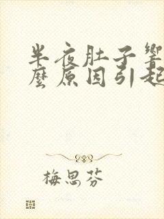 半夜肚子响是什么原因引起的