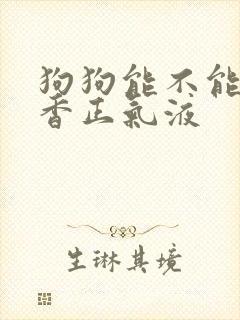 狗狗能不能喝藿香正气液