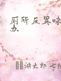 厕所反异味怎么办