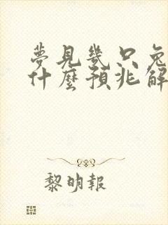 梦见几只兔子是什么预兆解梦