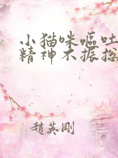 小猫咪呕吐黄水精神不振总趴着