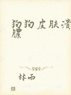 狗狗皮肤溃烂化脓