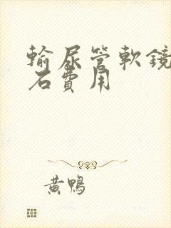 输尿管软镜取结石费用