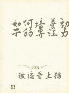 如何培养初中孩子的专注力及自控力