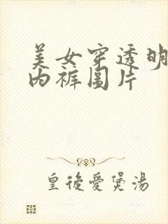 美女穿透明内衣内裤图片