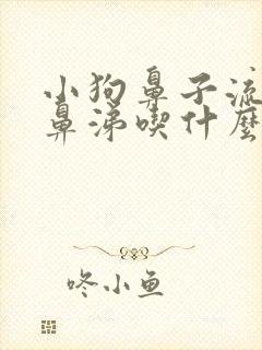 小狗鼻子流黄浓鼻涕吃什么药