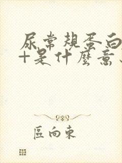 尿常规蛋白质1+是什么意思