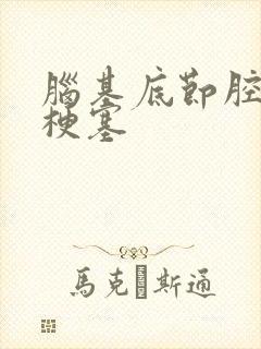 脑基底节腔隙性梗塞