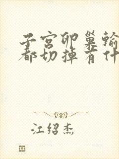 子宫卵巢输卵管都切掉有什么影响