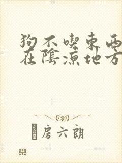 狗不吃东西喜欢在阴凉地方趴着