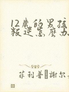 12岁的男孩子叛逆怎么办