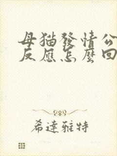 母猫发情公猫没反应怎么回事