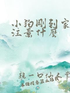 小狗刚到家需要注意什么