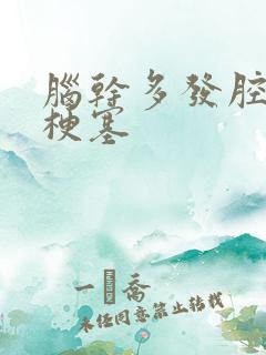 脑干多发腔隙性梗塞