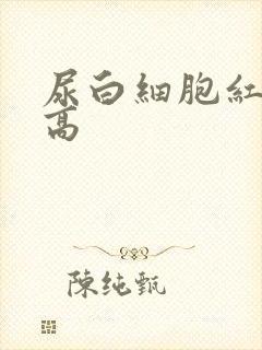 尿白细胞红细胞高