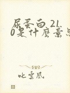 尿蛋白 21.0是什么意思