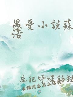 愚爱小说苏倩孙浩