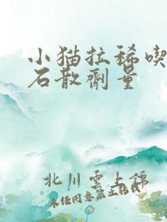 小猫拉稀吃蒙脱石散剂量