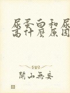 尿蛋白和尿隐血高什么原因