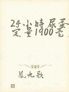 24小时尿蛋白定量1900毫克属于几个加号