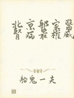 北京那家医院看肾病最权威