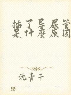 插了导尿管漏尿是什么原因