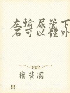 左输尿管下段结石可以体外碎石吗