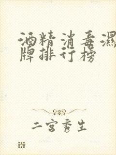 酒精消毒湿巾品牌排行榜