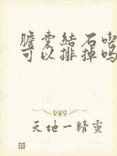 胆囊结石吃中药可以排掉吗