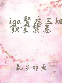 iga肾病三级饮食禁忌