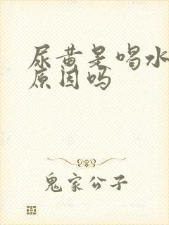 尿黄是喝水少的原因吗