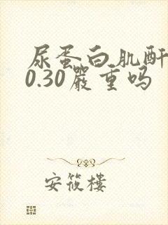 尿蛋白肌酐比值0.30严重吗