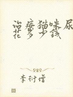 治疗猫咪尿闭要花多少钱