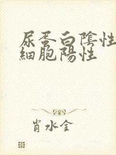 尿蛋白阴性尿白细胞阳性