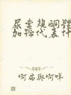 尿常规酮体两个加号代表什么