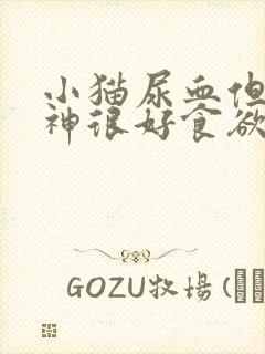 小猫尿血但是精神很好食欲也正常