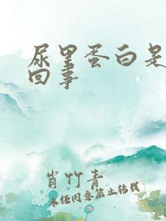 尿里蛋白是怎么回事