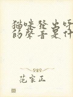 猫咪发出呼噜噜的声音是什么意思