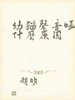 幼猫声音哑了是什么原因